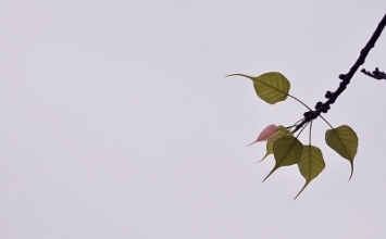 Biết hổ thẹn